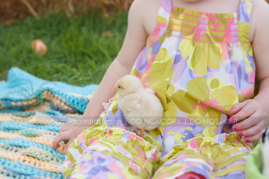 childrens photographer, Bellevue Dubuque Iowa, Easter bunny portraits, Candid Contrast Photography