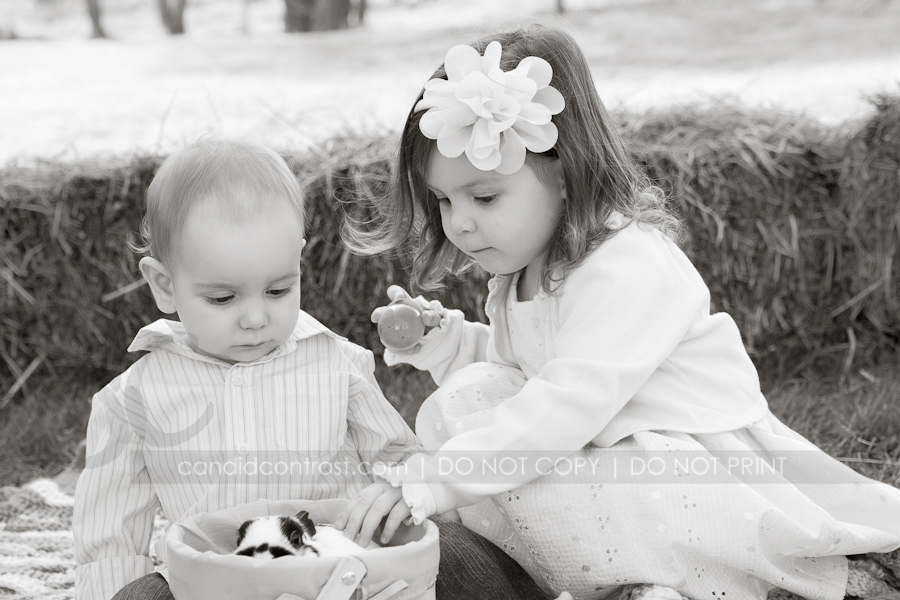 childrens photographer, Bellevue Dubuque Iowa, Easter bunny portraits, Candid Contrast Photography