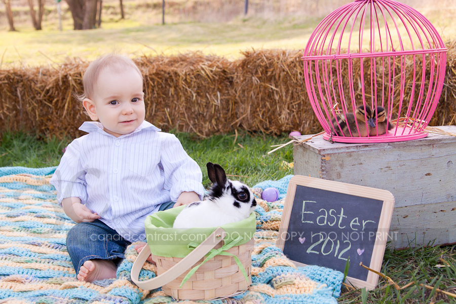 childrens photographer, Bellevue Dubuque Iowa, Easter bunny portraits, Candid Contrast Photography