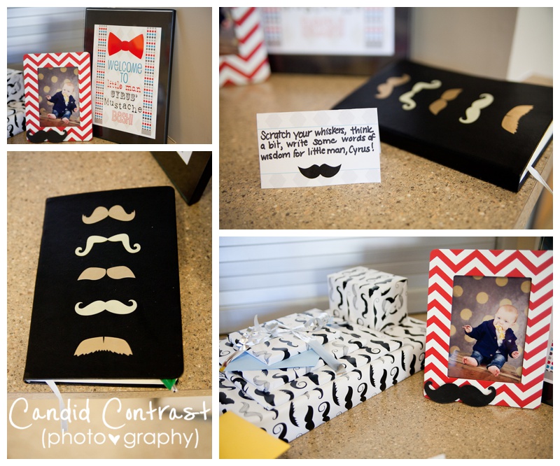 mustache first birthday party, Dubuque & Bellevue Iowa children's photographer, Candid Contrast Photography
