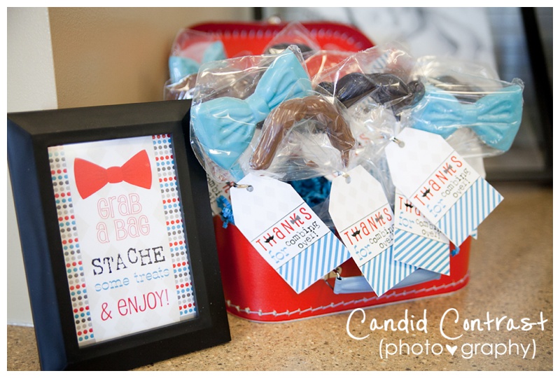 mustache first birthday party, Dubuque & Bellevue Iowa children's photographer, Candid Contrast Photography