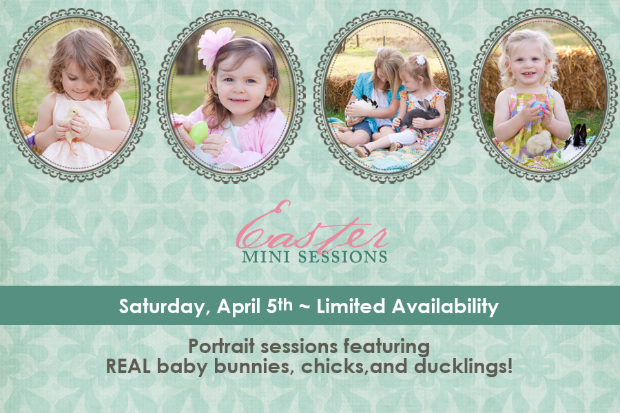 portraits with real bunnies, chicks, & ducklings, Dubuque, IA, Candid Contrast Photography