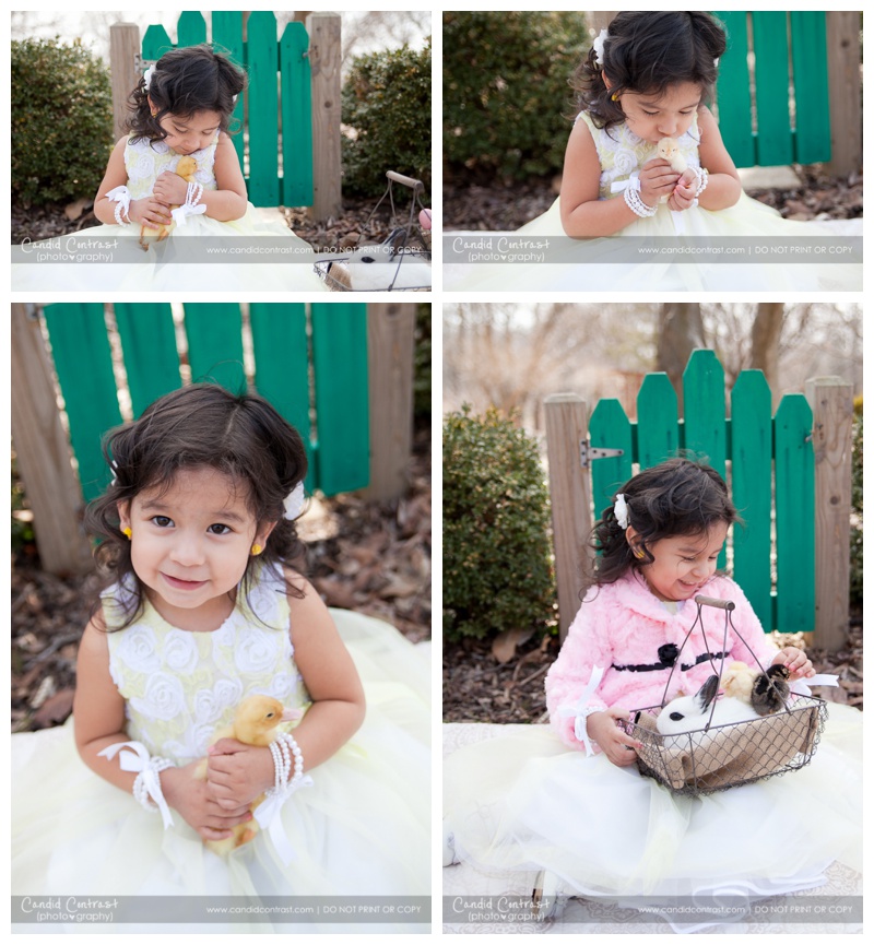 Easter photos with real bunnies Dubuque IA, Candid Contrast Photography, Easter Mini Sessions Dubuque Bellevue IA