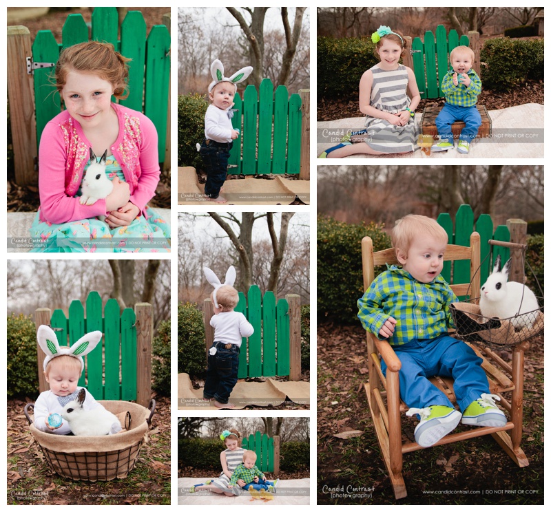 Easter photos with real bunnies Dubuque IA, Candid Contrast Photography, Easter Mini Sessions Dubuque Bellevue IA