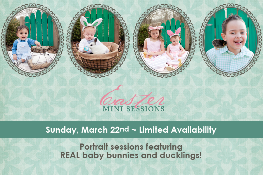Portraits with real bunnies & ducklings in Dubuque, IA, Candid Contrast Photography