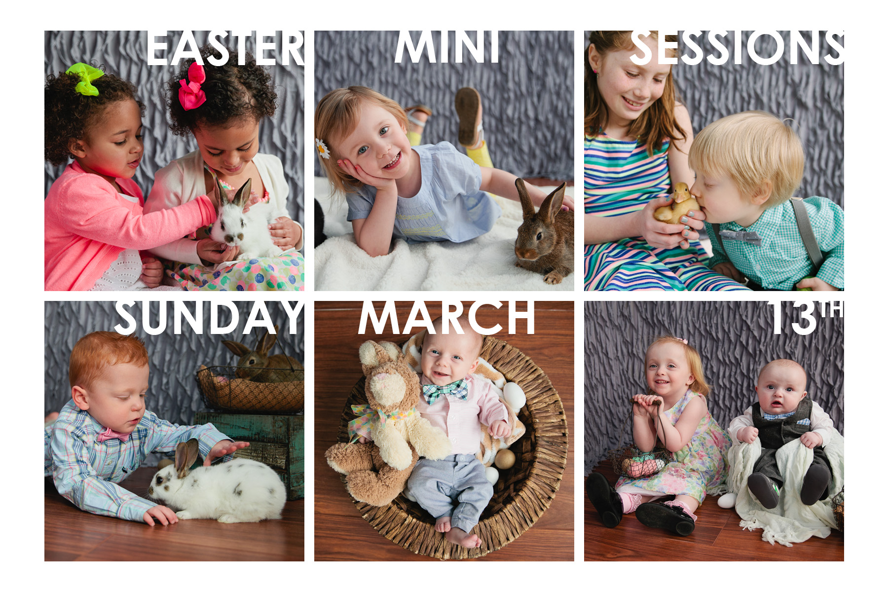 easter mini sessions, photos with real bunnies and ducklings, candid contrast photography