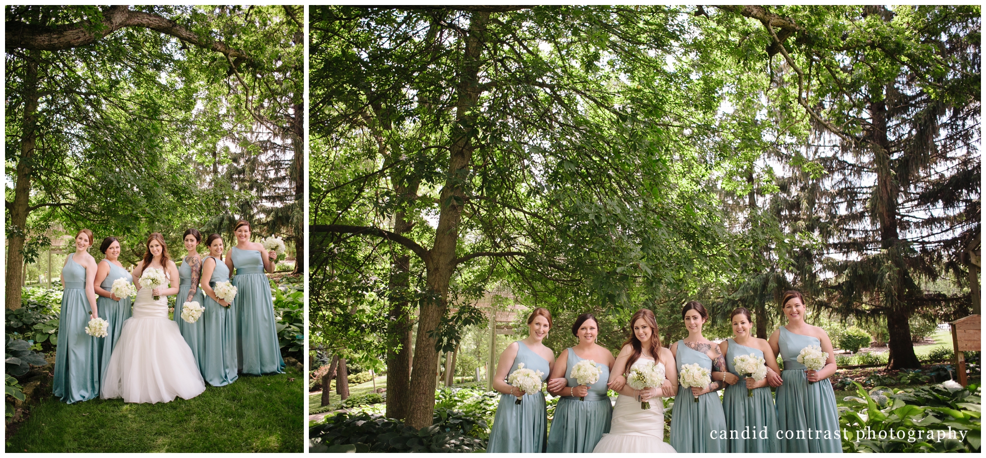 wedding party at dubuque arboretum at dubuque, ia wedding, candid contrast photography