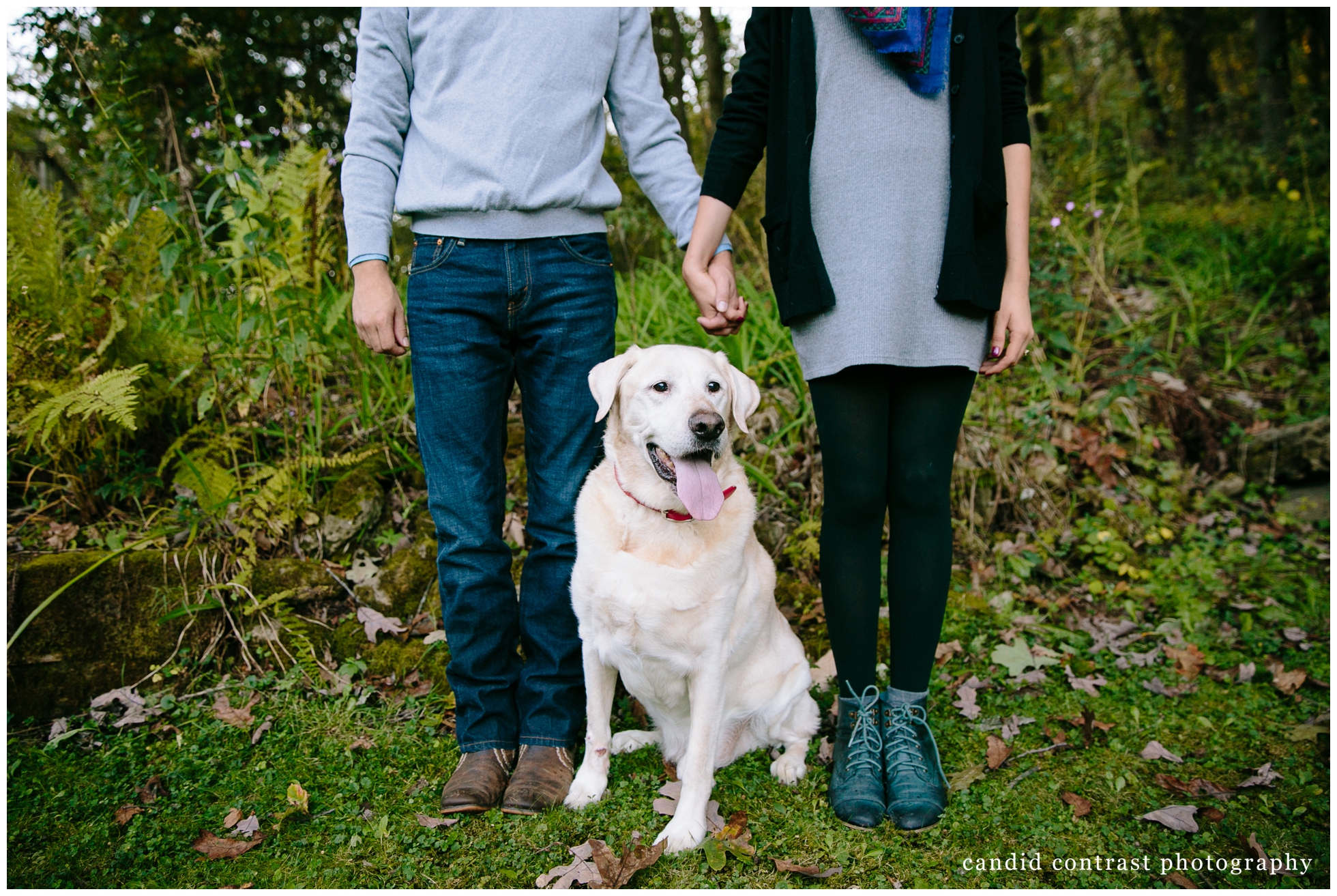 outdoor dubuque iowa engagement photos with dog, iowa wedding photographer candid contrast photography 