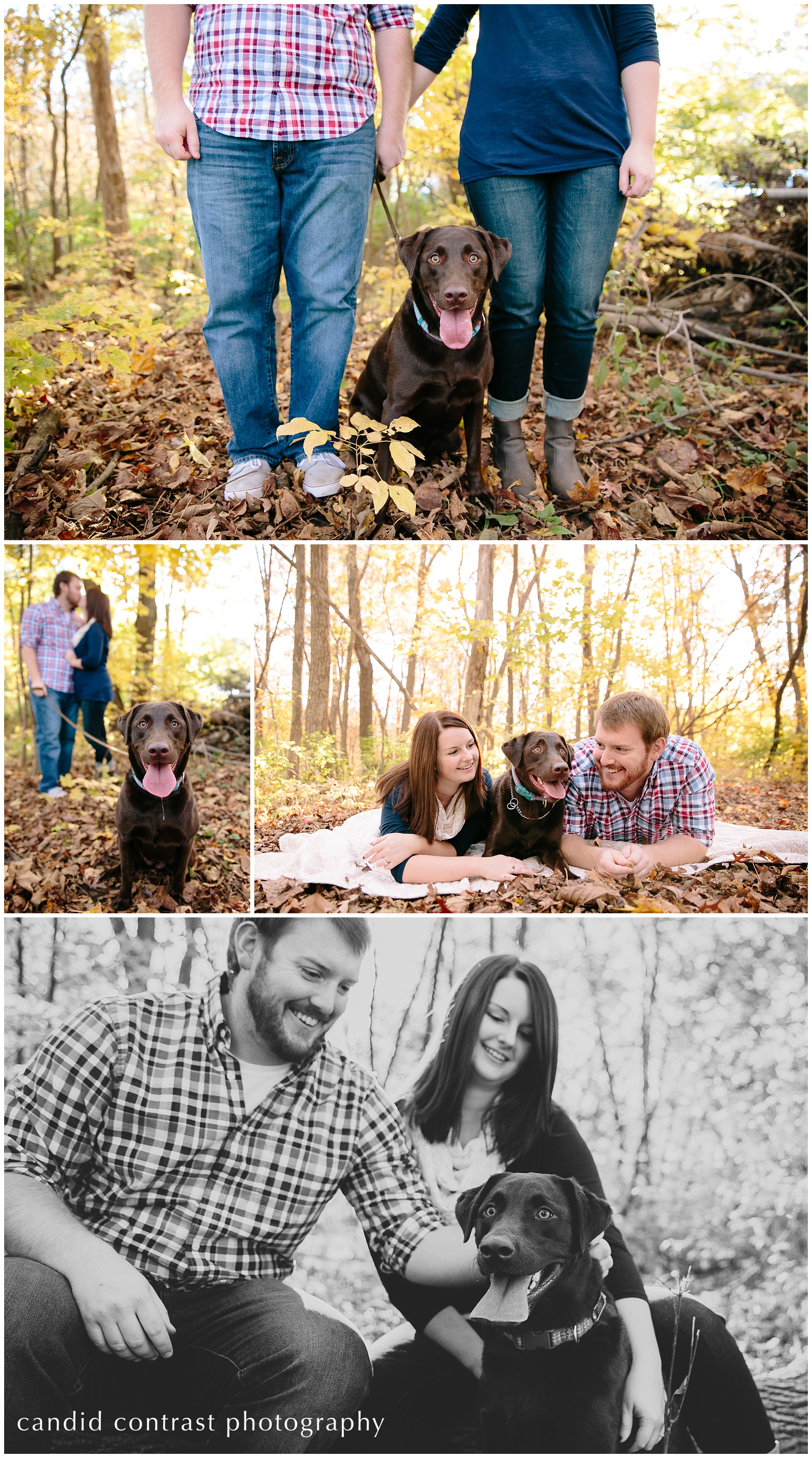 bellevue iowa engagement session with a chocolate lab, including your dog in your engagement photos