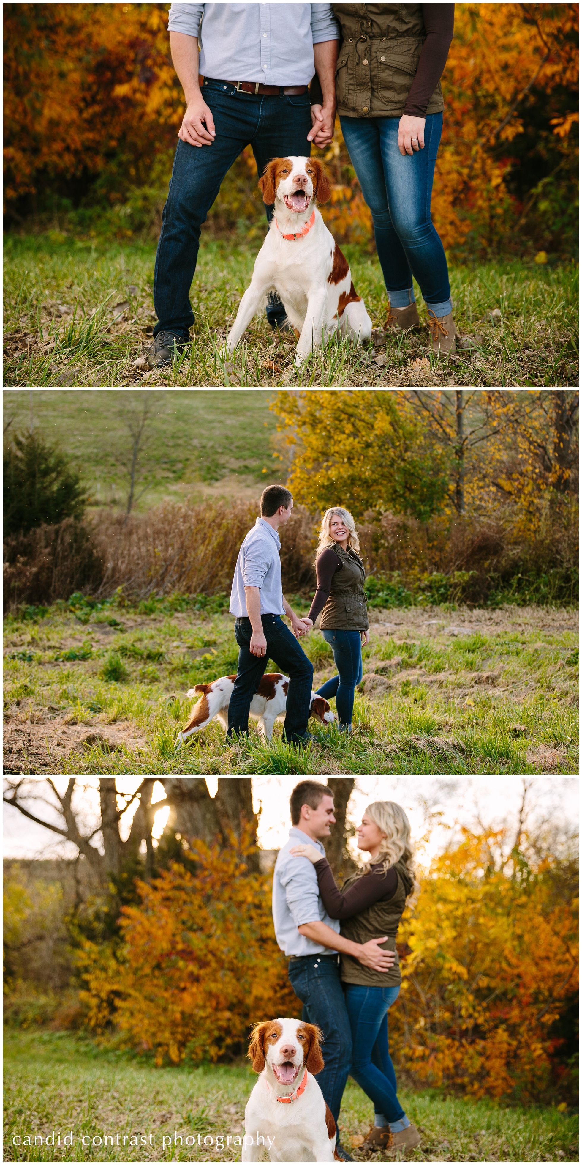 dubuque iowa engagement session with dog at bergfeld pond, including your dog in your engagement photos