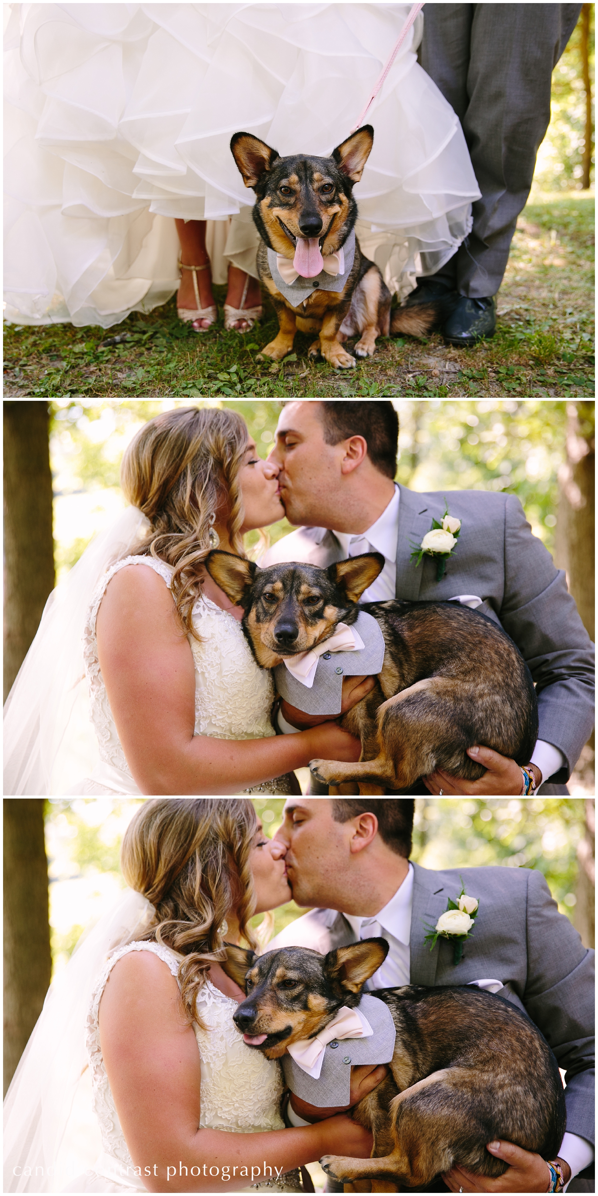cedar rapids iowa wedding with dog, bride and groom with their dog, including your dog in your wedding photos 
