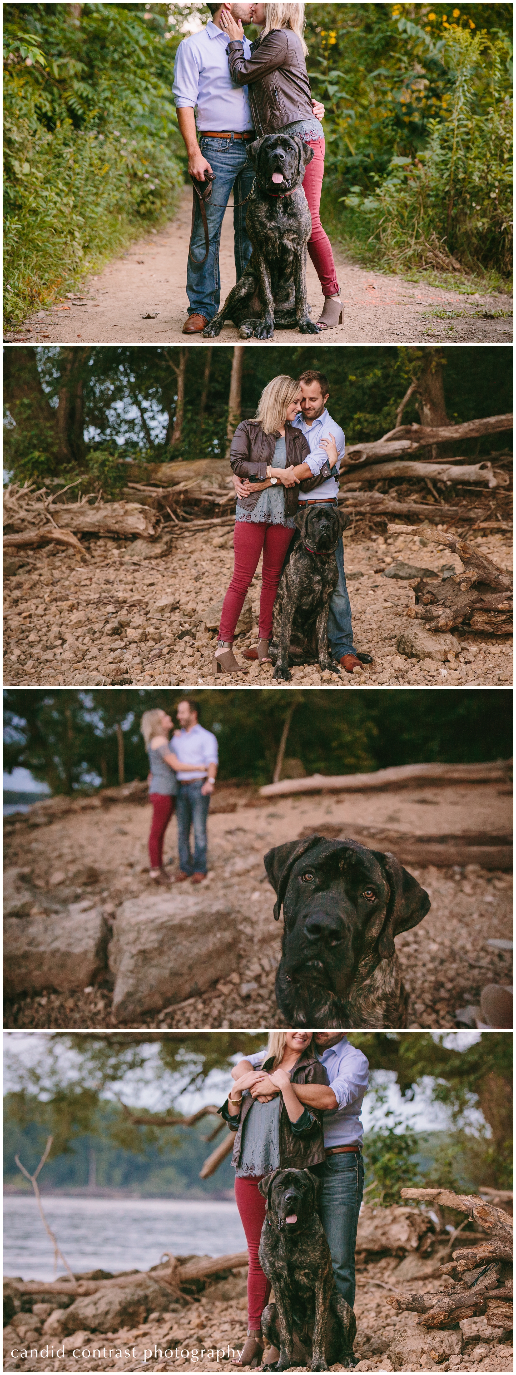 dubuque iowa engagement session with a mastiff at mines of spain, including your dog in your engagement photos