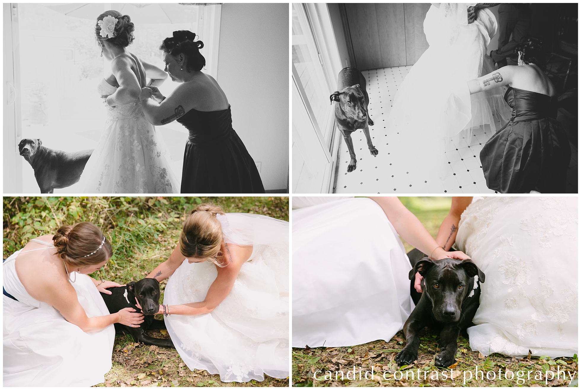 wisconsin same sex wedding with dog, brides with their dog, including your dog in your wedding photos 