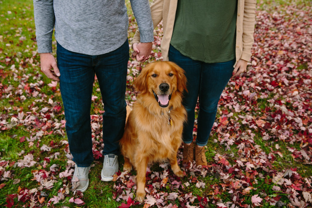 fall engagement photos with golden retreiver at mines of spain in dubuque