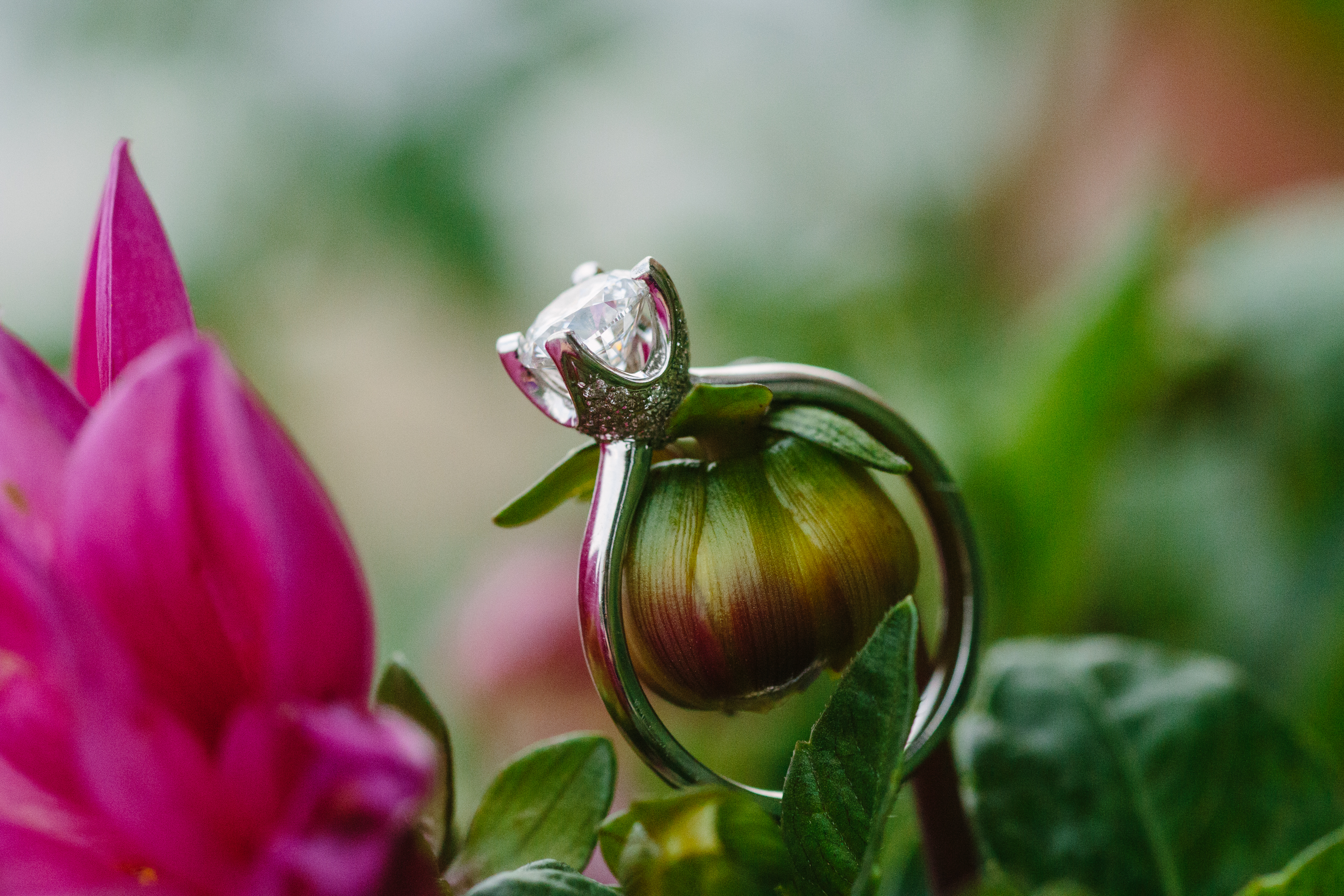 dubuque engagement session by catherine furlin photography, beautiful solitaire engagement ring on flower bud