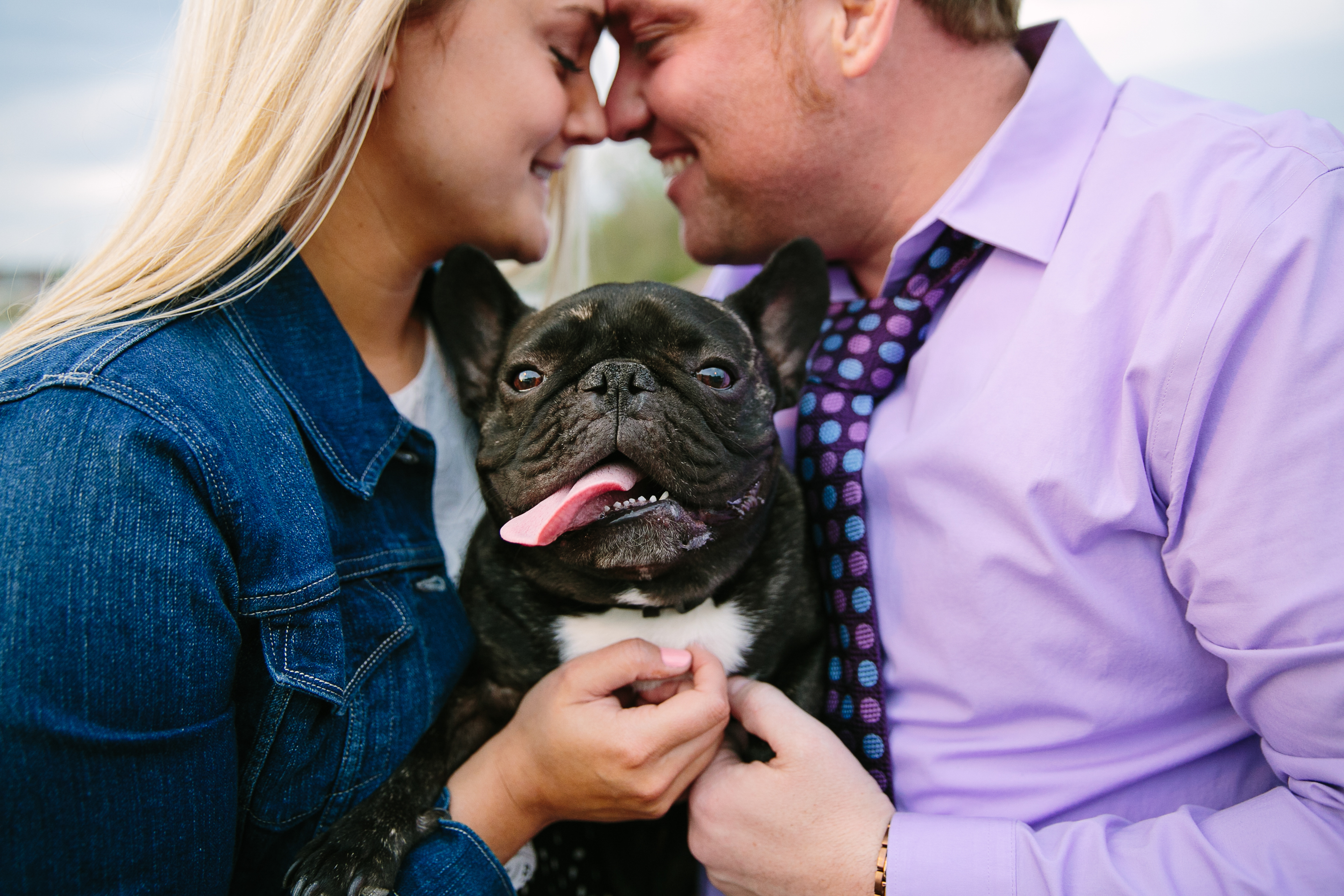 iowa city engagement session with french bulldog by catherine furlin
