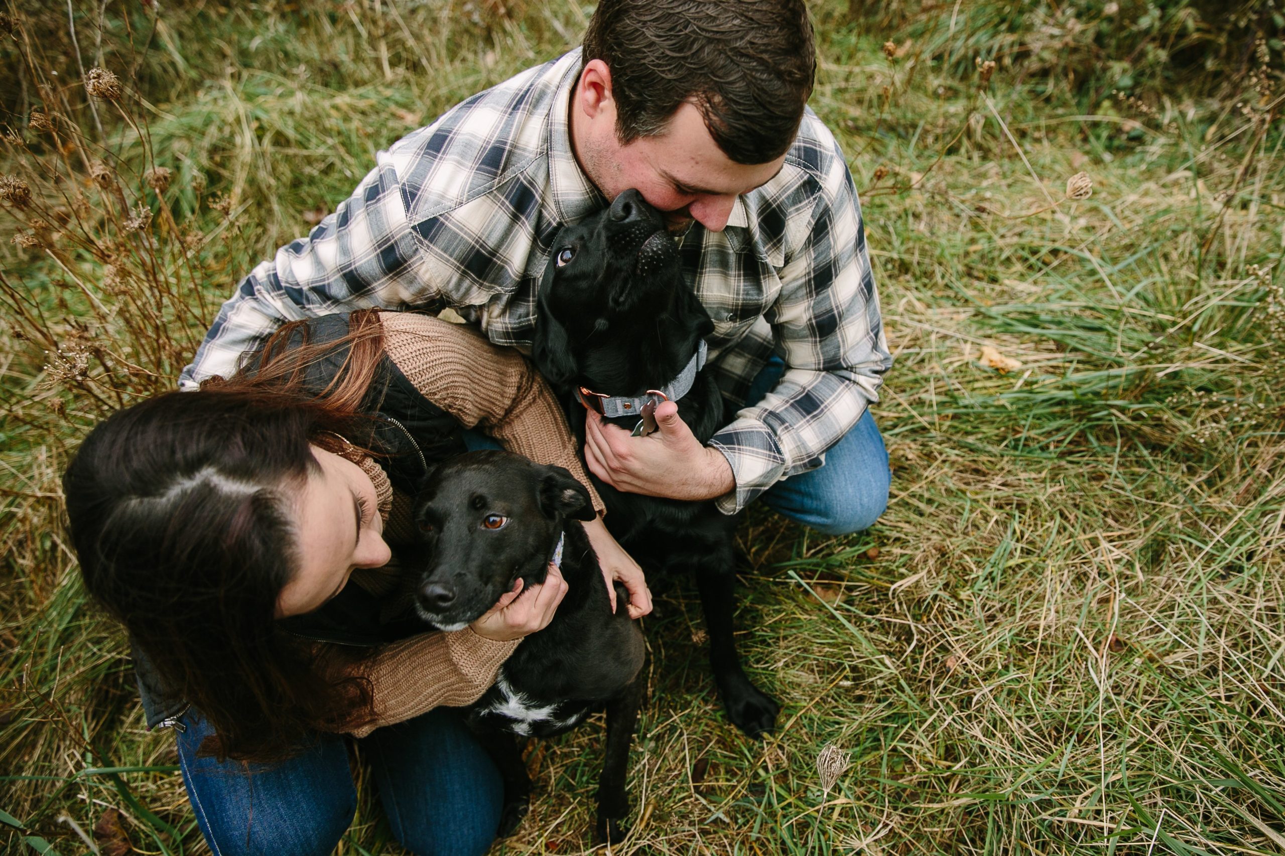 iowa couple pets their dogs during engagement session