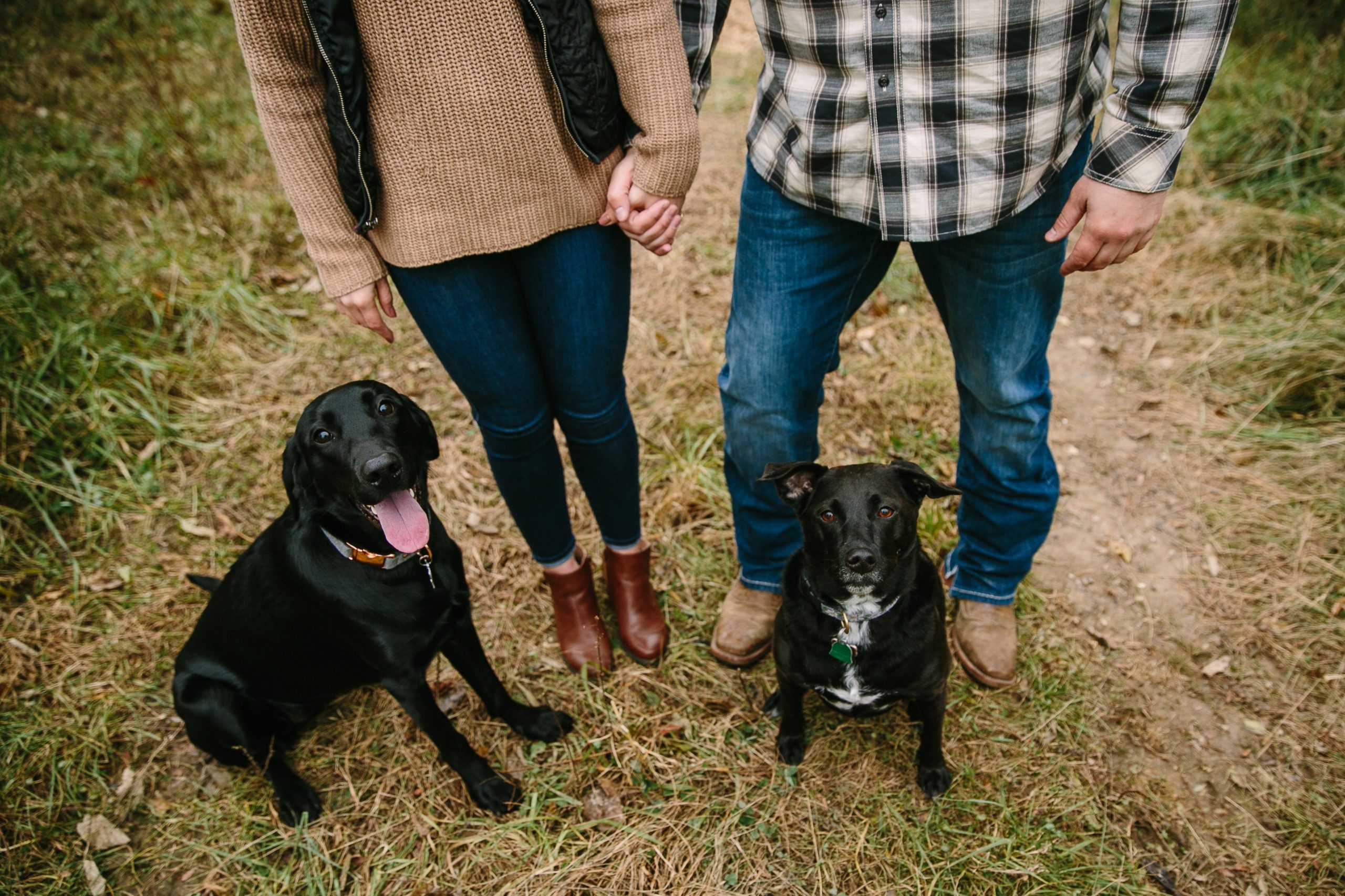 iowa couple holds hands with their dogs at their feet during engagement session