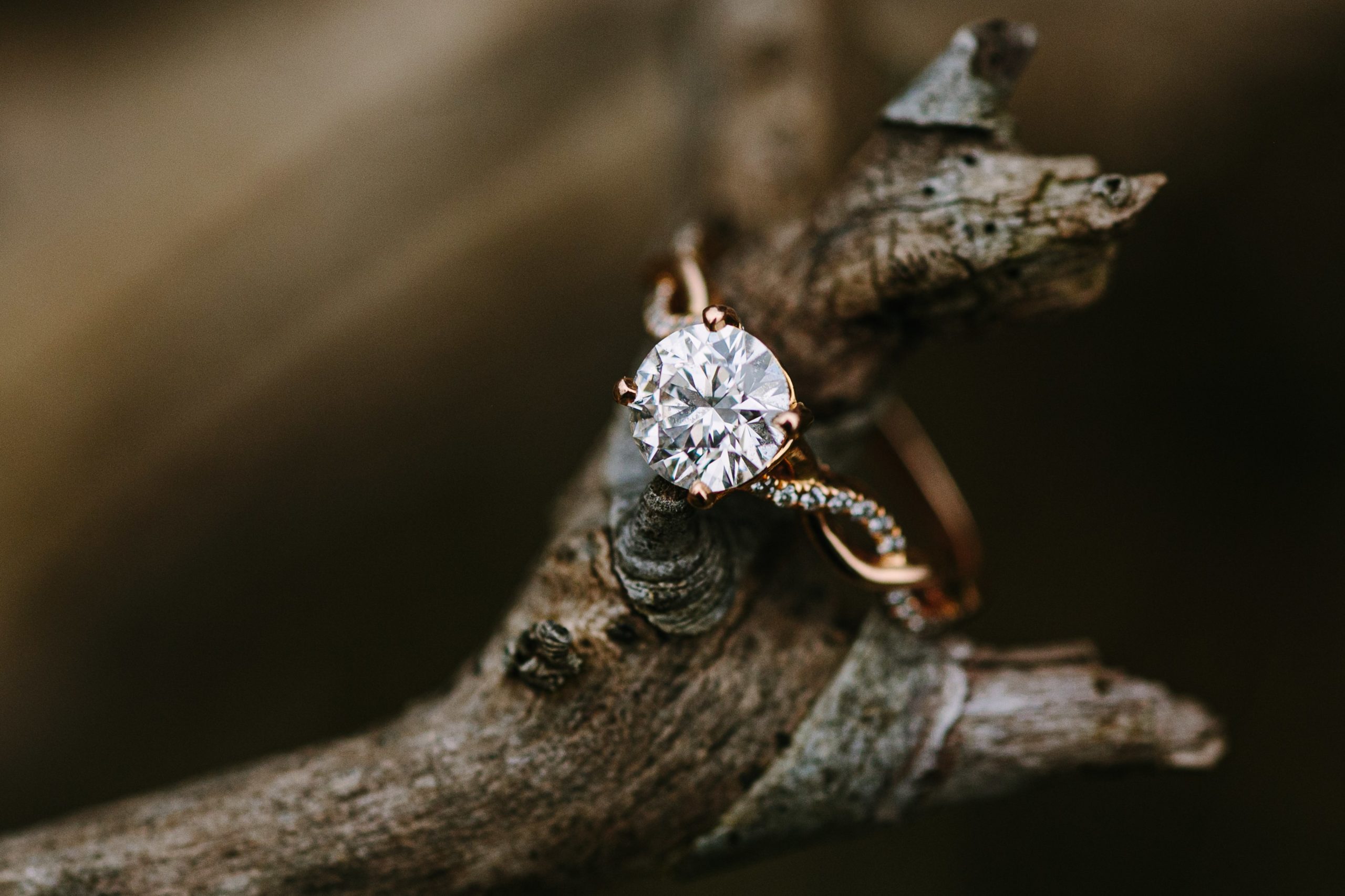 close up of engagement ring on a tree branch at iowa engagement session 