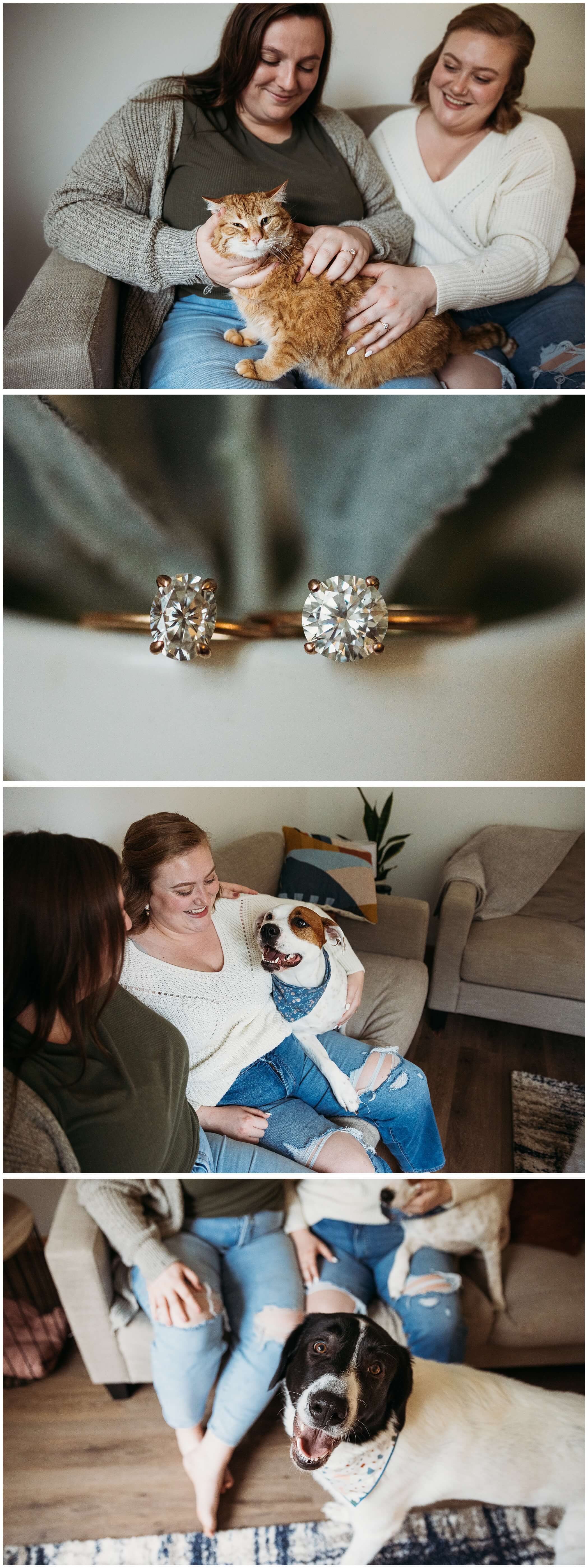 in-home engagement session with pets